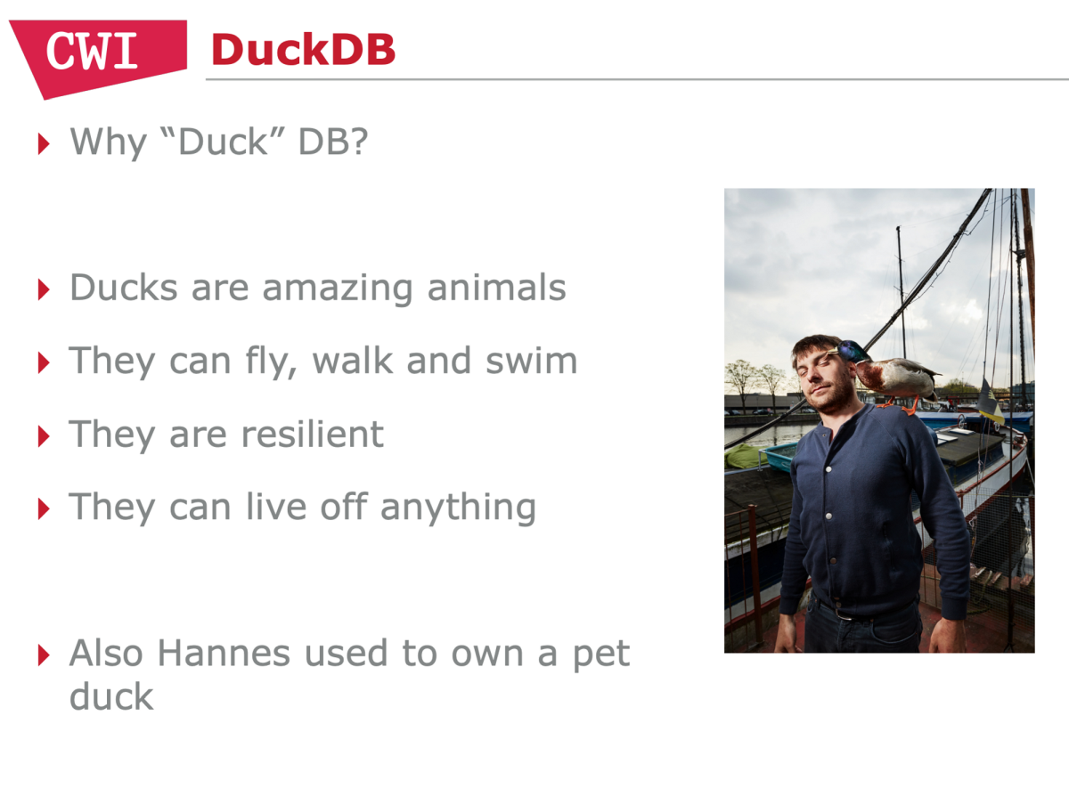 Why &quot;Duck&quot; DB?